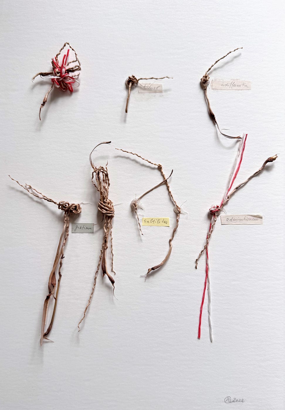 PHOENIX CANARIENSIS 26 X 37 X 2,5 CM - 90 X 60 X 8 CM 